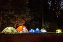 اقامت شبانه در جنگل‌های آمل ممنوع شد