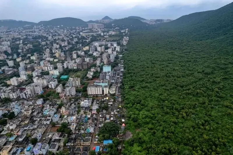 تصاویر حیات وحش ۲۰۲۵