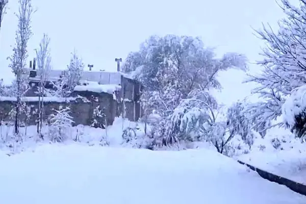  بارش برف در روستای مائین بلاغ شهرستان تکاب
