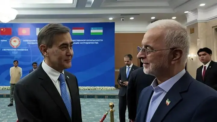 جزئیات دیدار وزیر کشور با دبیرکل سازمان همکاری شانگهای
