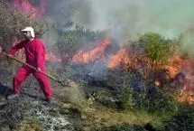 خاکستر شدن ۸ هکتار پوشش گیاهی میانکاله