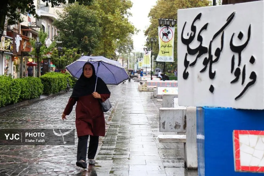 گالری
