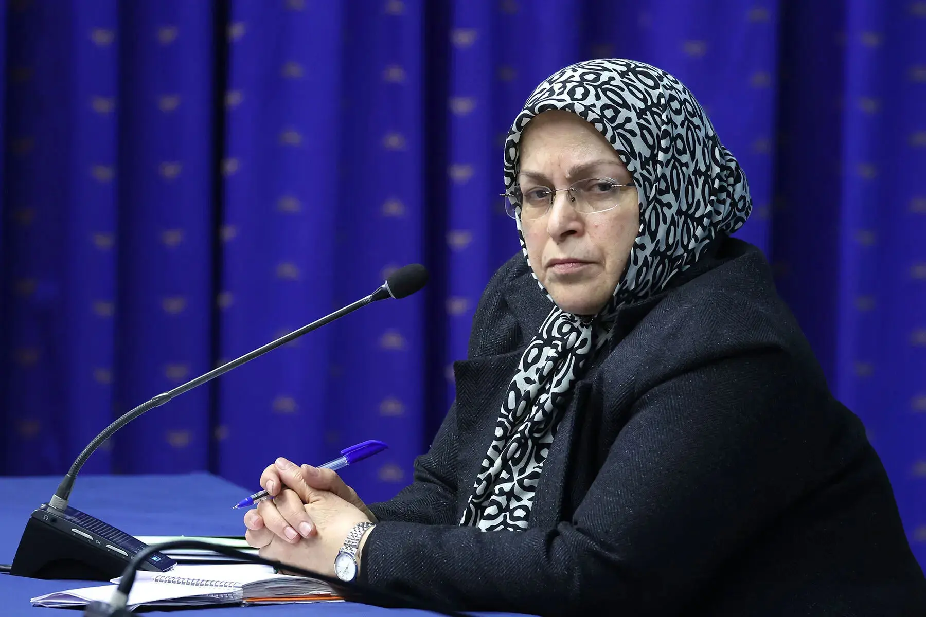 رئیس جبهه اصلاحات ایران خواستار استرداد لایحه ‎تأمین امنیت زنان شد