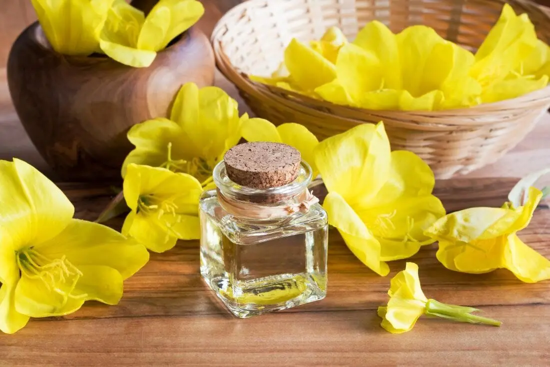 روغن گل مغربی چه فایده‌ای دارد؟