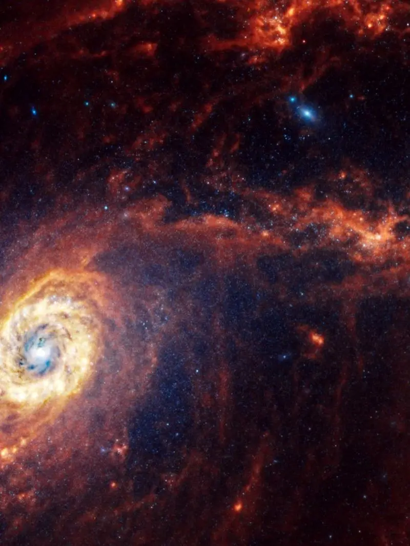 photo_2025-11-15_19-11-41