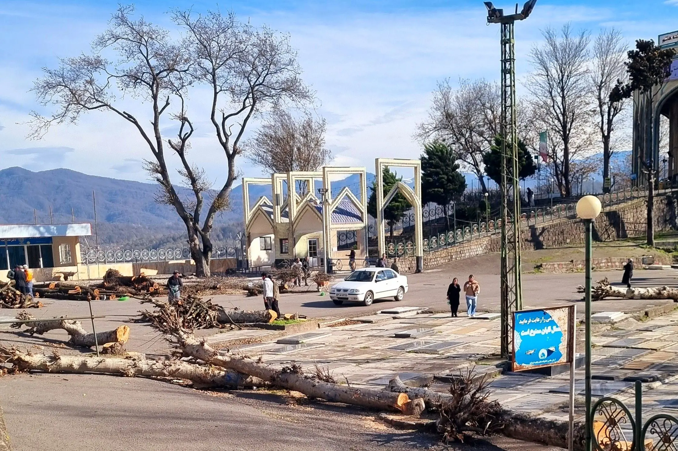 قطع درختان امامزاده هاشم توجیه ندارد/ کاملا سالم بوده و هیچ مشکلی نداشته‌اند
