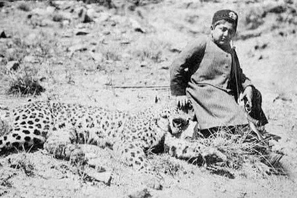 روزگاری که تهران پلنگ داشت