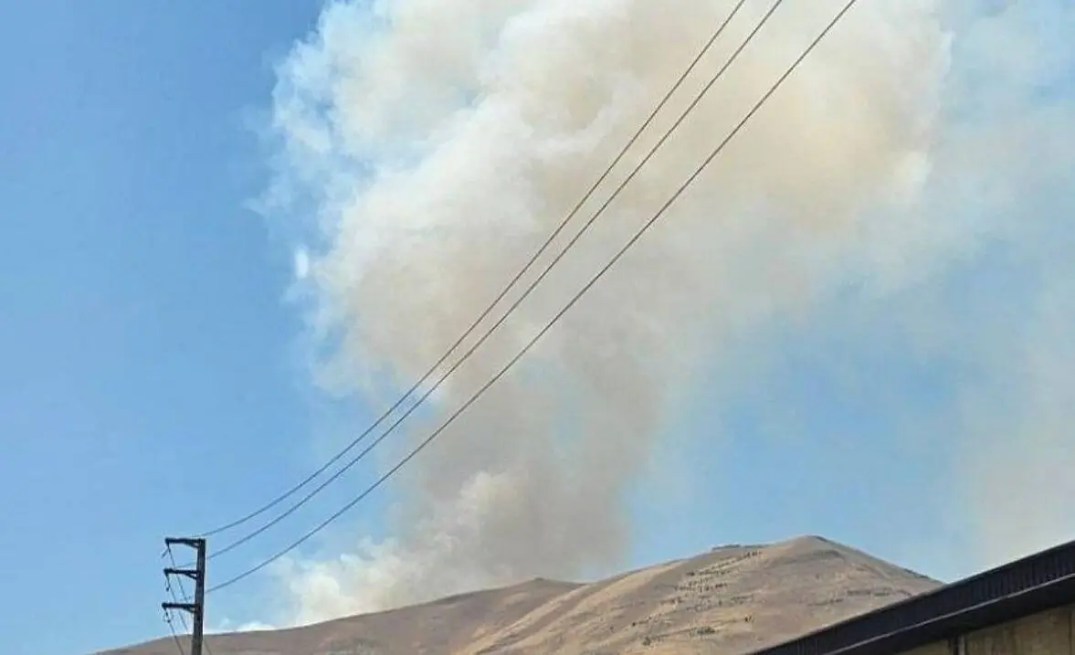 مرگ سوزان حمید مرادی، فعال زیست‌محیطی در «آبیدر»