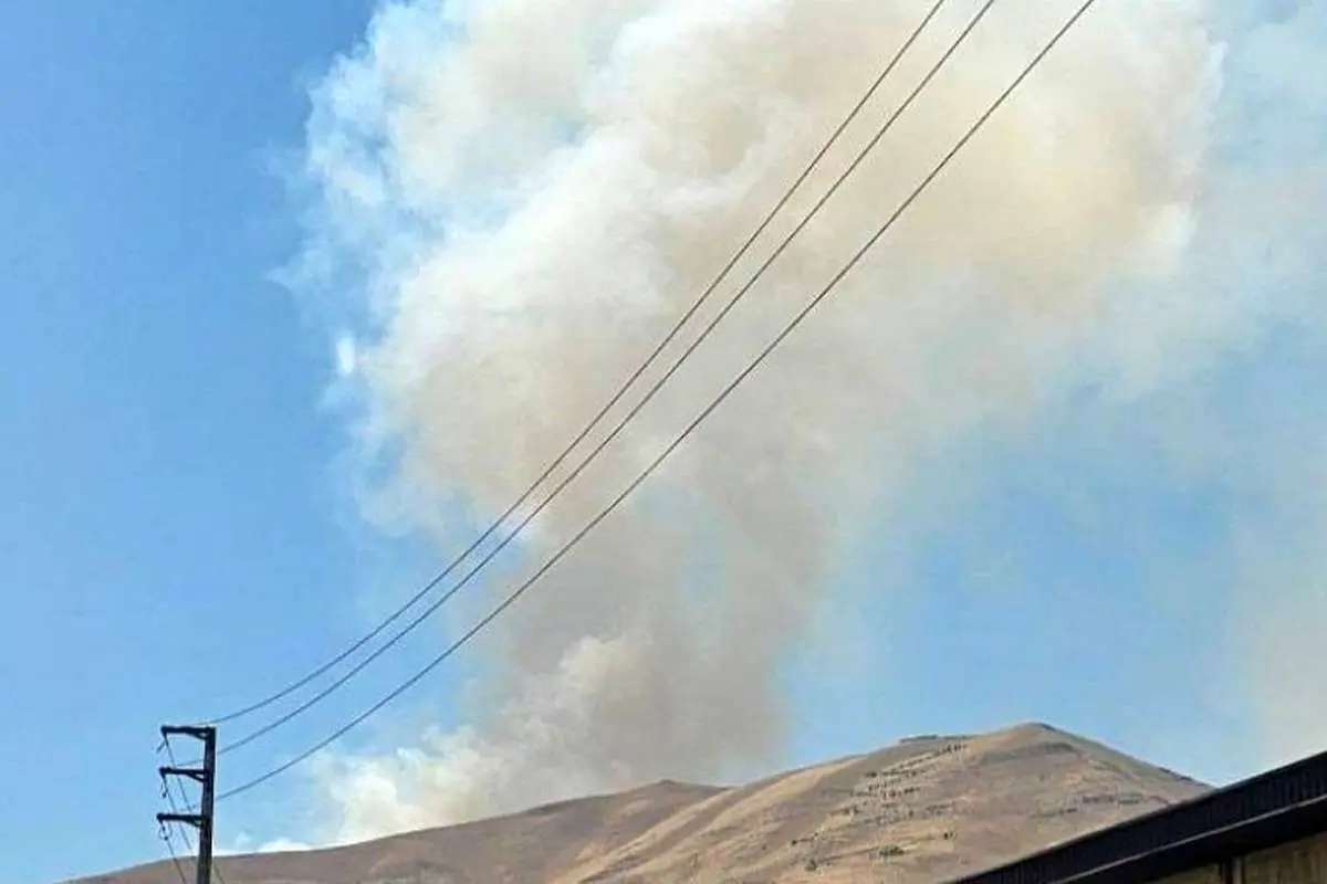 مرگ سوزان حمید مرادی، فعال زیست‌محیطی در «آبیدر»