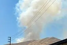 مرگ سوزان حمید مرادی، فعال زیست‌محیطی در «آبیدر»