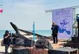 گل‌افشانی در آب‌های نیلگون خلیج فارس