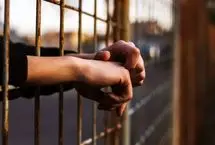 یک زندانی ایرانی از بلژیک به کشور بازگشت