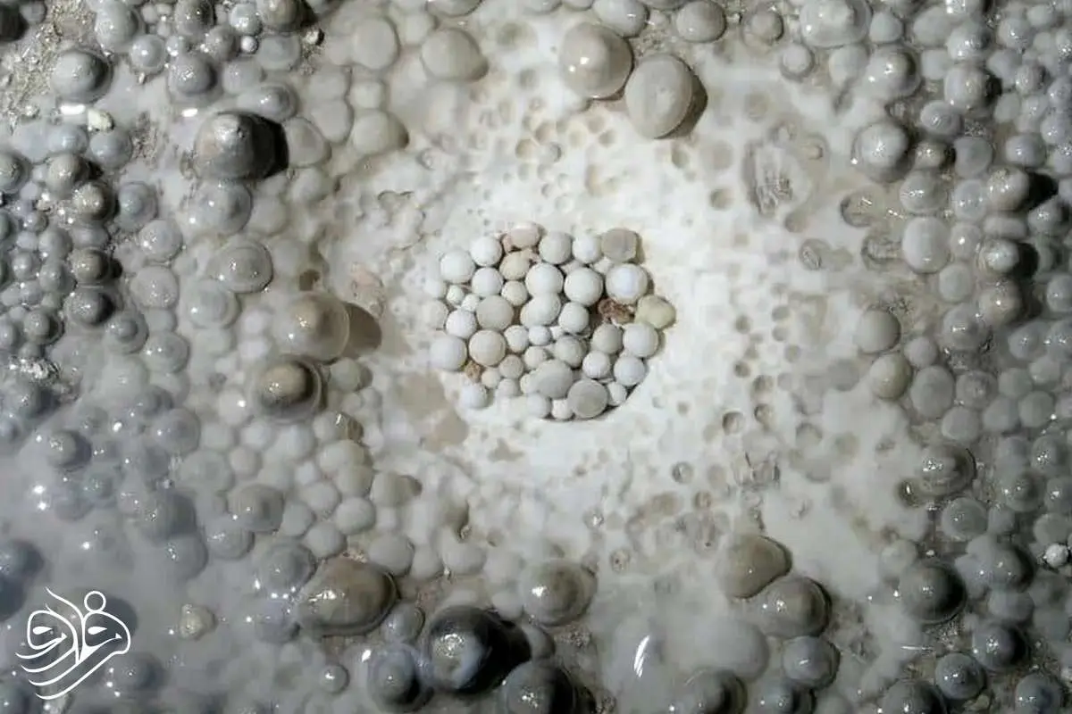 کشف مرواریدهای غاری با دست‌سازه‌های 2200 ساله در بیت‌المقدس!