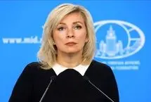 وزارت خارجه روسیه: ماکرون ممکن بود از کرملین مشت بخورد
