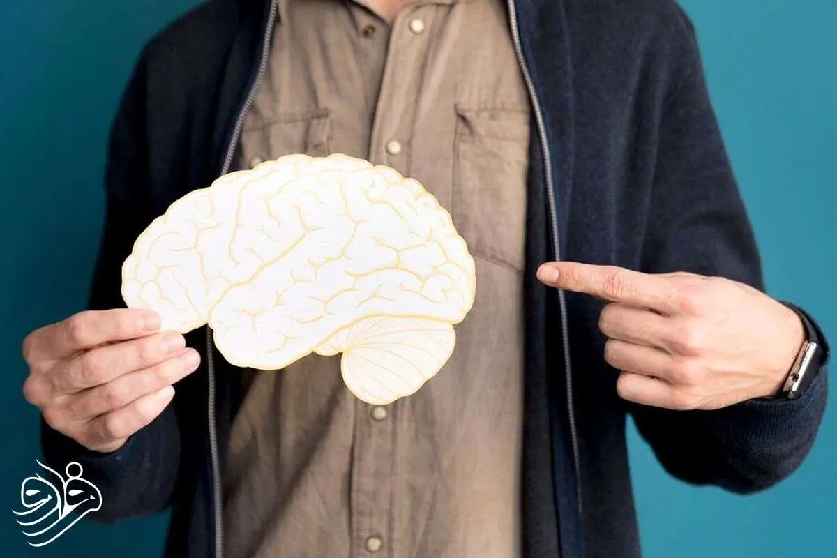 با کاهش ۳۰ درصدی کالری، مغز پیر نمی‌شود!