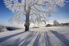 پیش‌بینی آب و هوا، یکشنبه ۱۹ بهمن / سراسر ایران زمستانی می‌شود