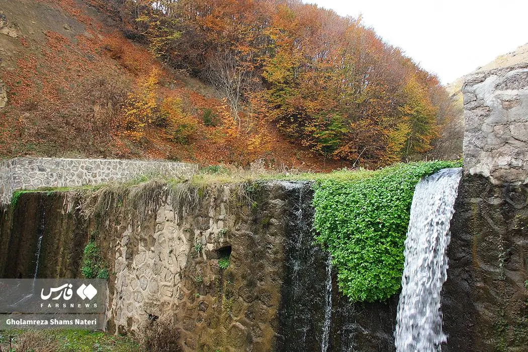 عکس صفحه گوشی پاییز