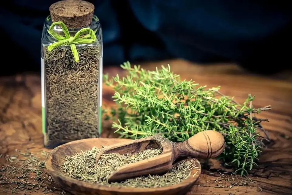 دو گیاه دارویی با خواص ضد سرفه و آرام‌بخش