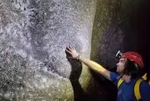 کشف بزرگترین کلونی عنکبوت‌ها با بیش از  ۱۱۱ هزار تار 