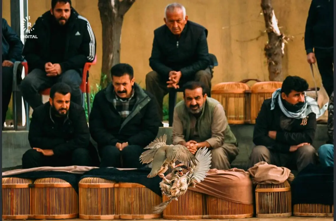 گالری
