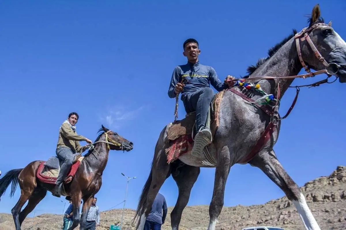 تصاویر؛ اسبها و سواران در جاده دلدادگی به سوی خورشید خراسان