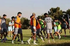 زمان شروع تمرینات استقلال مشخص شد