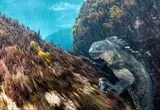 شاهکار عکاسی از دل تاریکی؛ همزیستی قارچ‌ها و خفاش‌های خفته جایزه بزرگ اروپا را برد