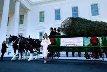 استقبال ملانیا ترامپ از درخت کریسمس در کاخ سفید