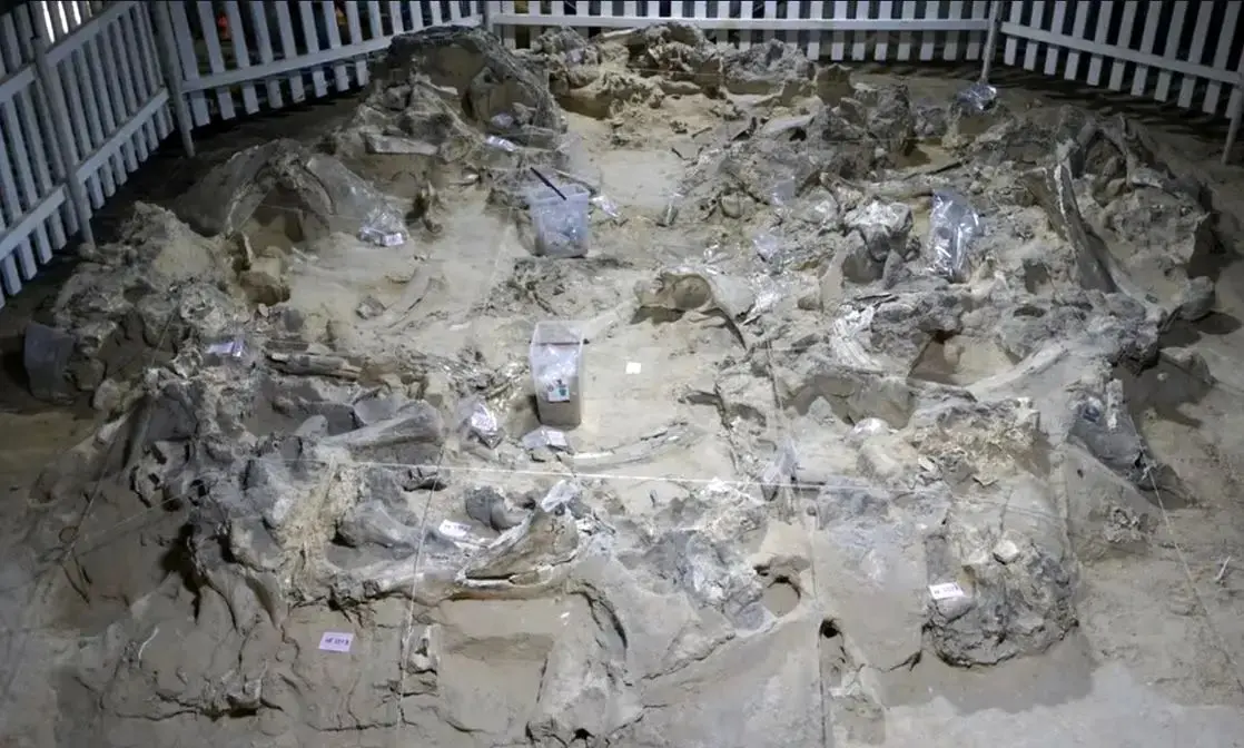 کشف خانه‌های ۱۹ هزار ساله از استخوان ماموت در عصر یخبندان