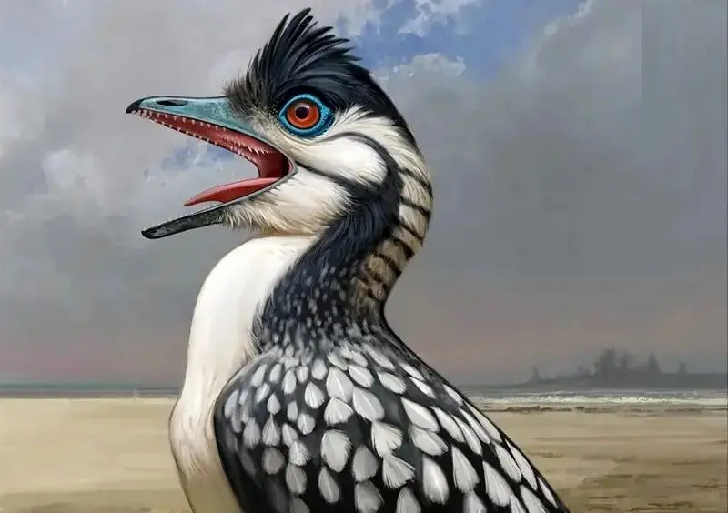 آرکئوپتریکس