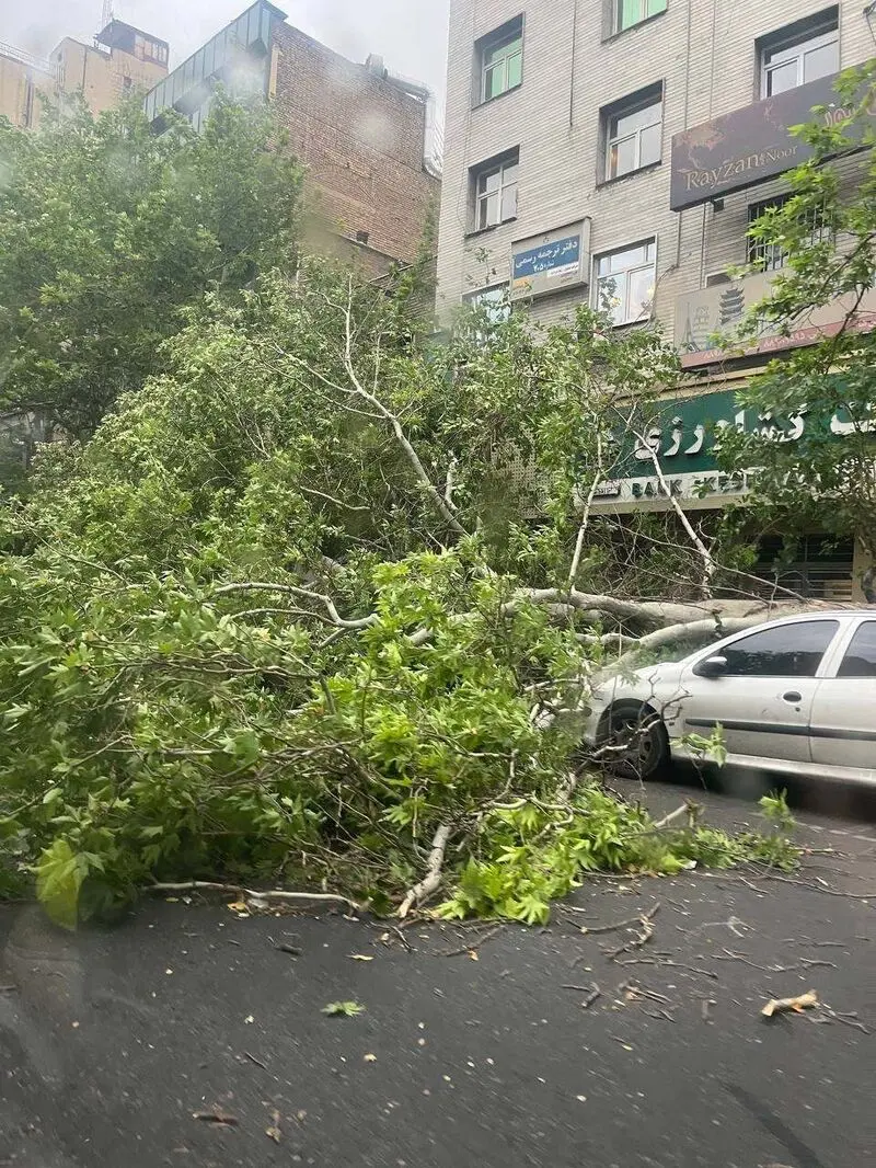 کشاورز3