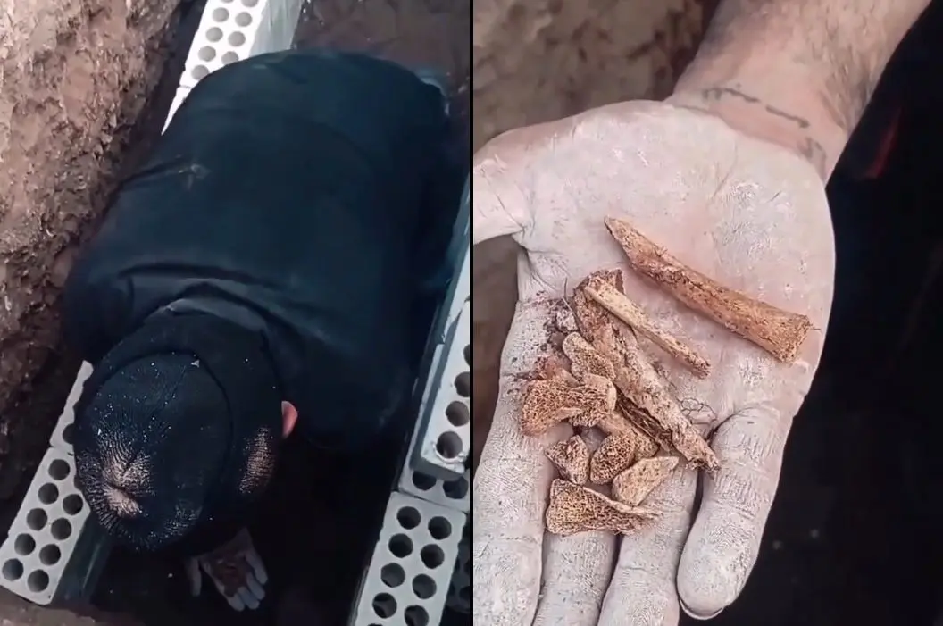 ویدئویی تکان‌دهنده از یک قبرکن که پرویز پرستویی منتشر کرد