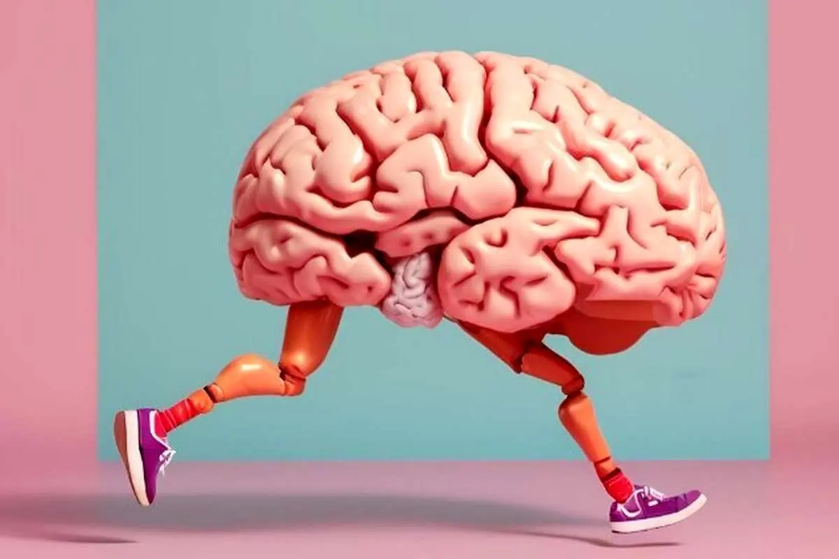۱۲ سوال کلیدی درباره حفظ سلامت مغز