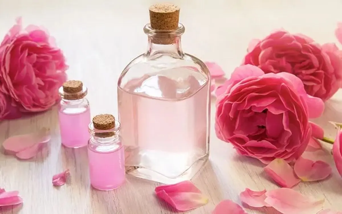 گلاب؛ عصاره‌ای برای زیبایی و سلامت
