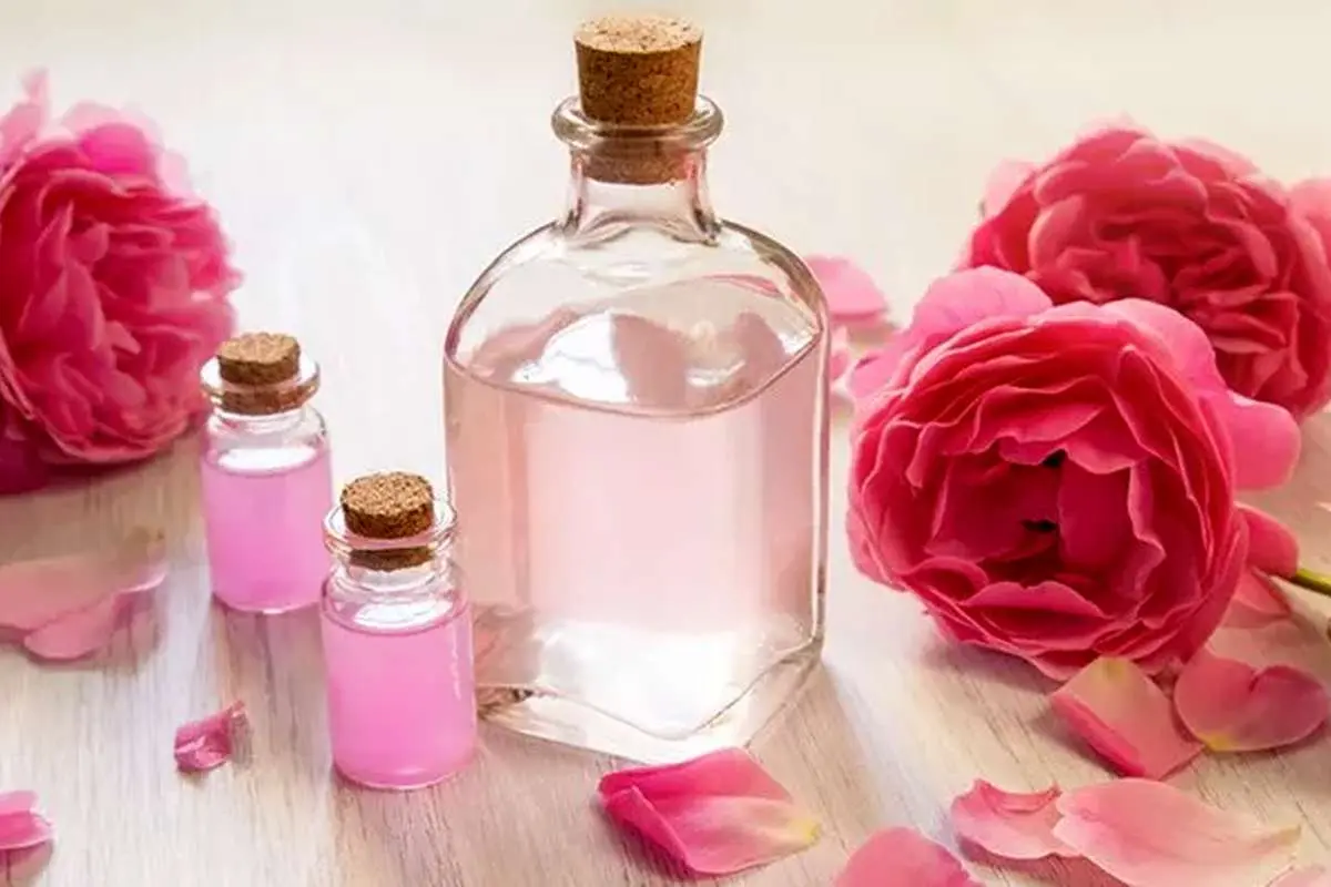 گلاب؛ عصاره‌ای برای زیبایی و سلامت