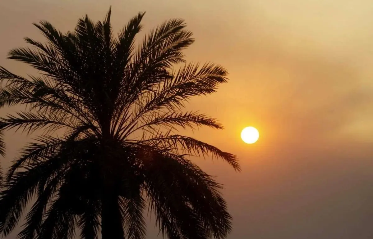 تفال به حافظ جمعه ۱۹ بهمن ۱۴۰۳؛ اگر نه باده غم دل ز یاد ما ببرد.....