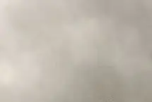 نگاهی کوتاه به فیلم‌های اولین روز جشنواره فیلم فجر ۱۴۰۳؛ از فیلم رگ‌های آبی تا صیاد