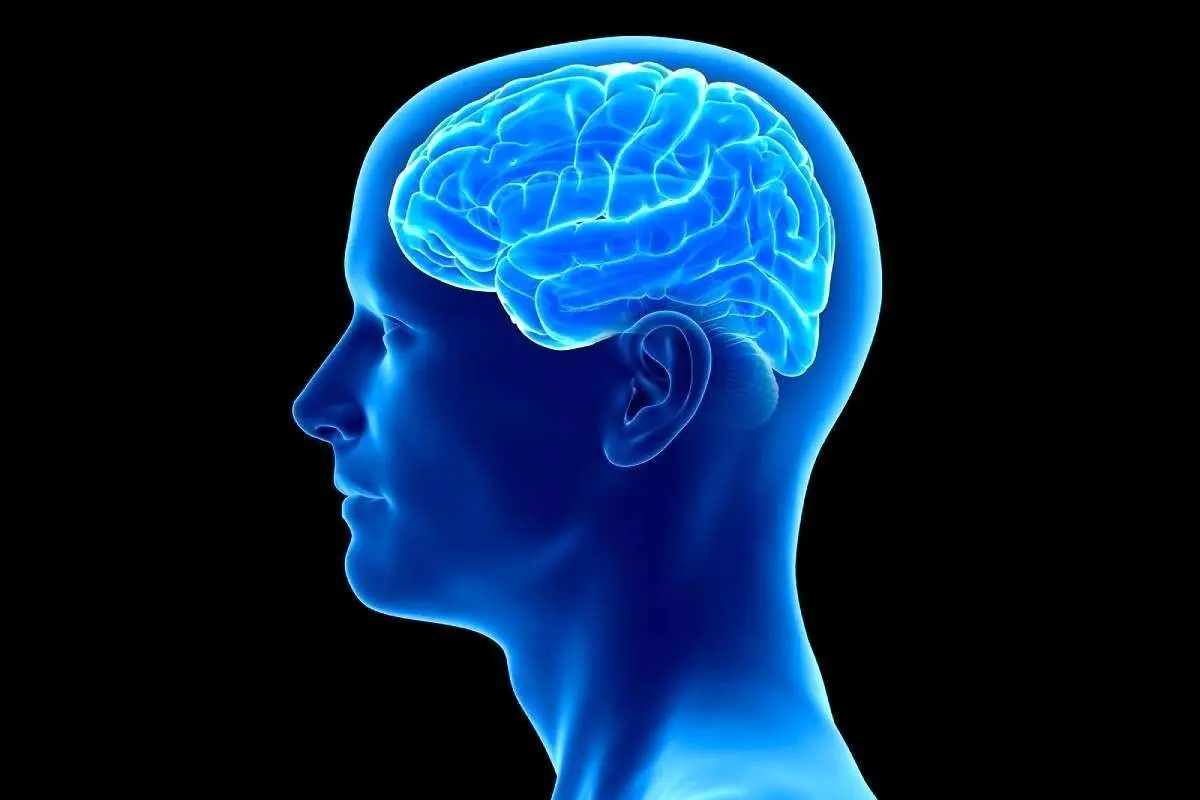 چهار نکته ضروری برای داشتن مغز جوان