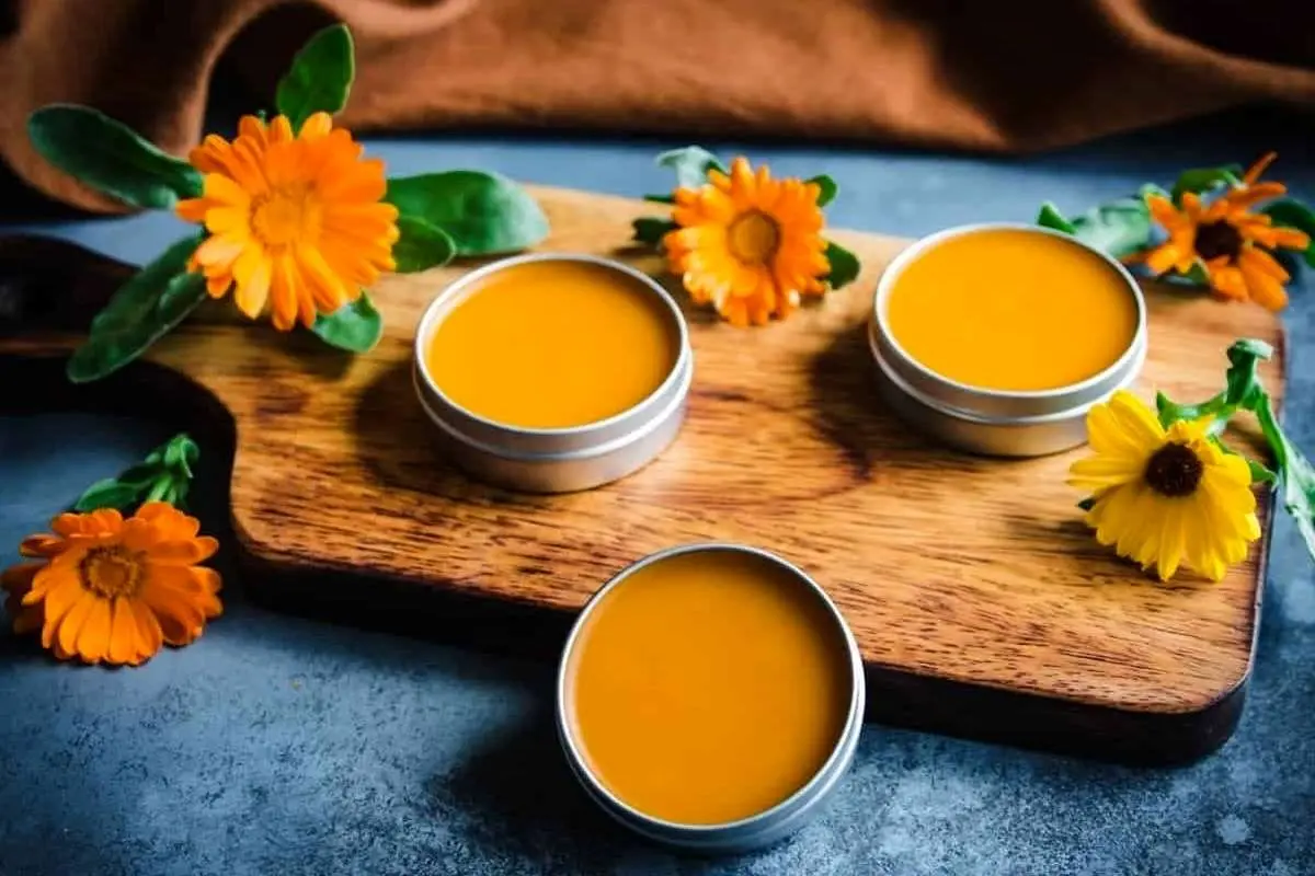 گل همیشه بهار؛ داروخانه کامل دنیای گیاهان!