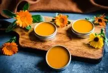 گل همیشه بهار؛ داروخانه کامل دنیای گیاهان!