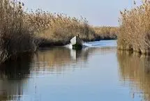 (تصاویر) تالاب شادگان، نگین درخشان خوزستان