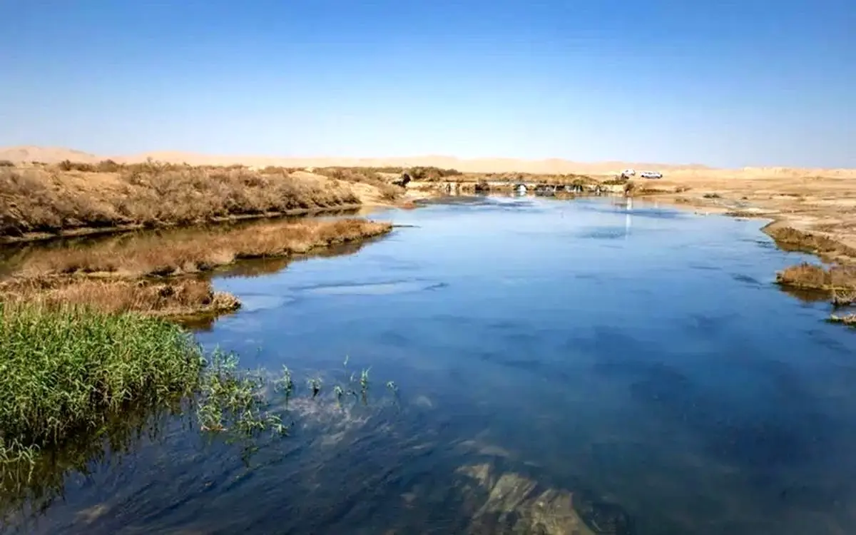 قصه پُر غصه گاوخونی و داغی نشسته بر دل!