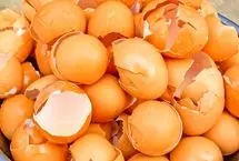خواص اعجاب انگیز پوست تخم مرغ