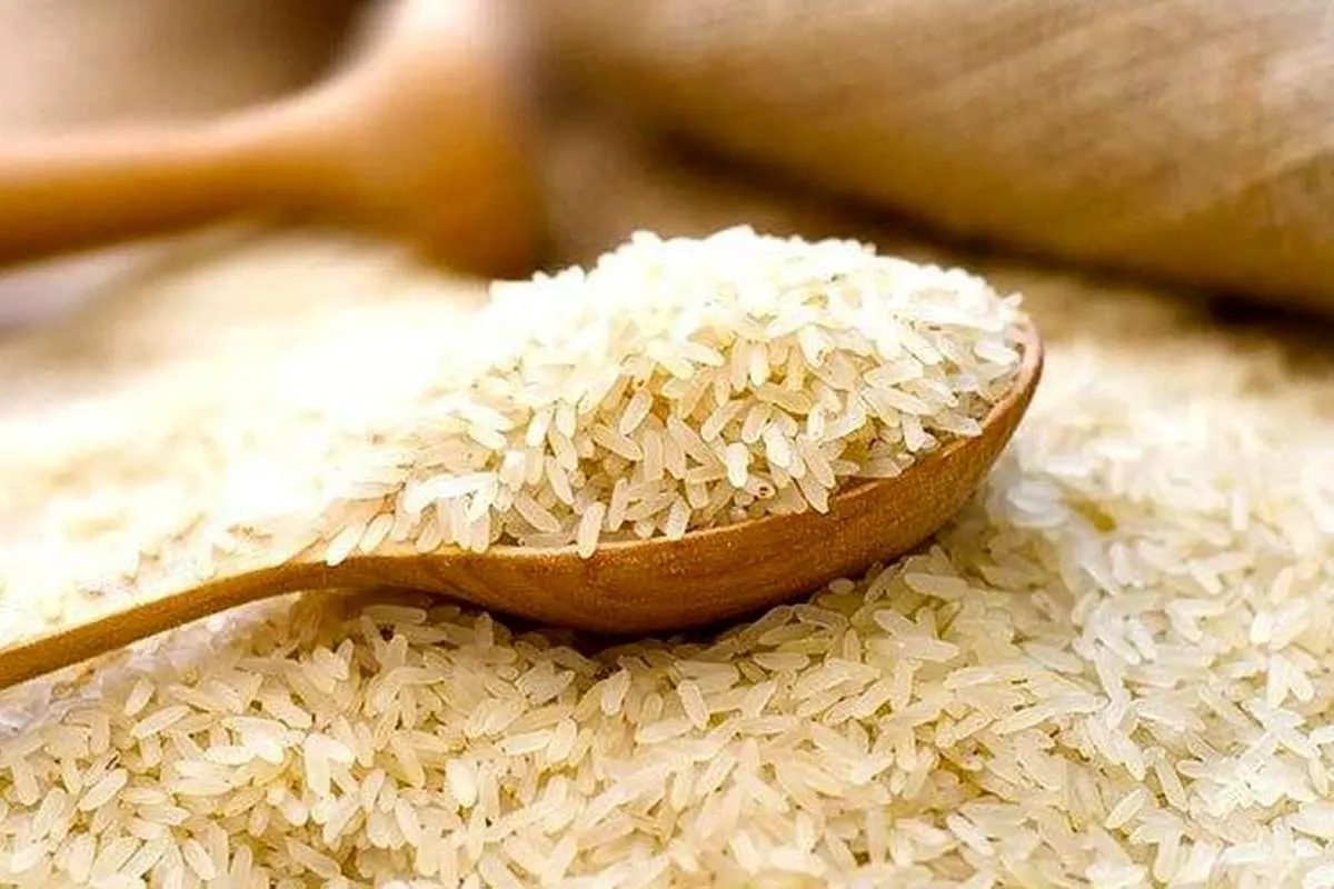 قیمت برنج چرا قد کشید؟