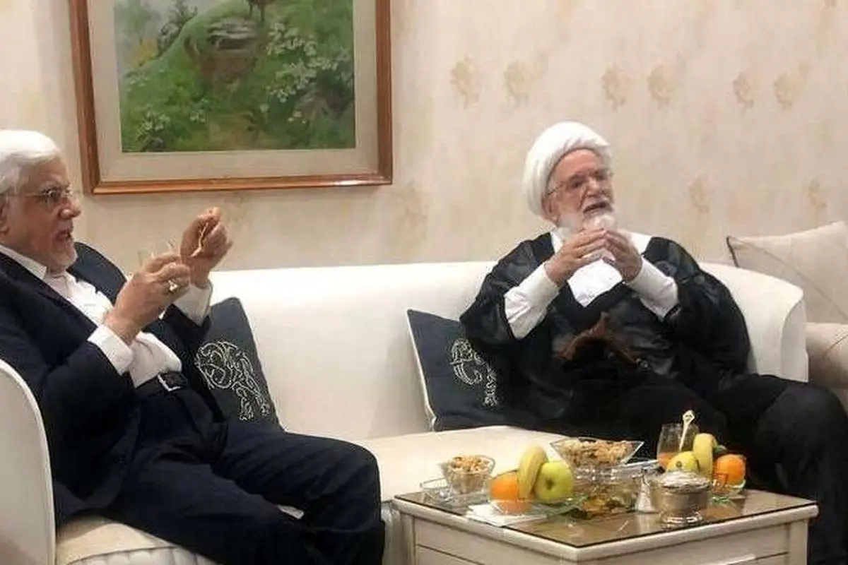 دیدار عارف با کروبی