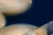 قیمت سکه بهار آزادی امروز ۲۱ بهمن ۱۴۰۳