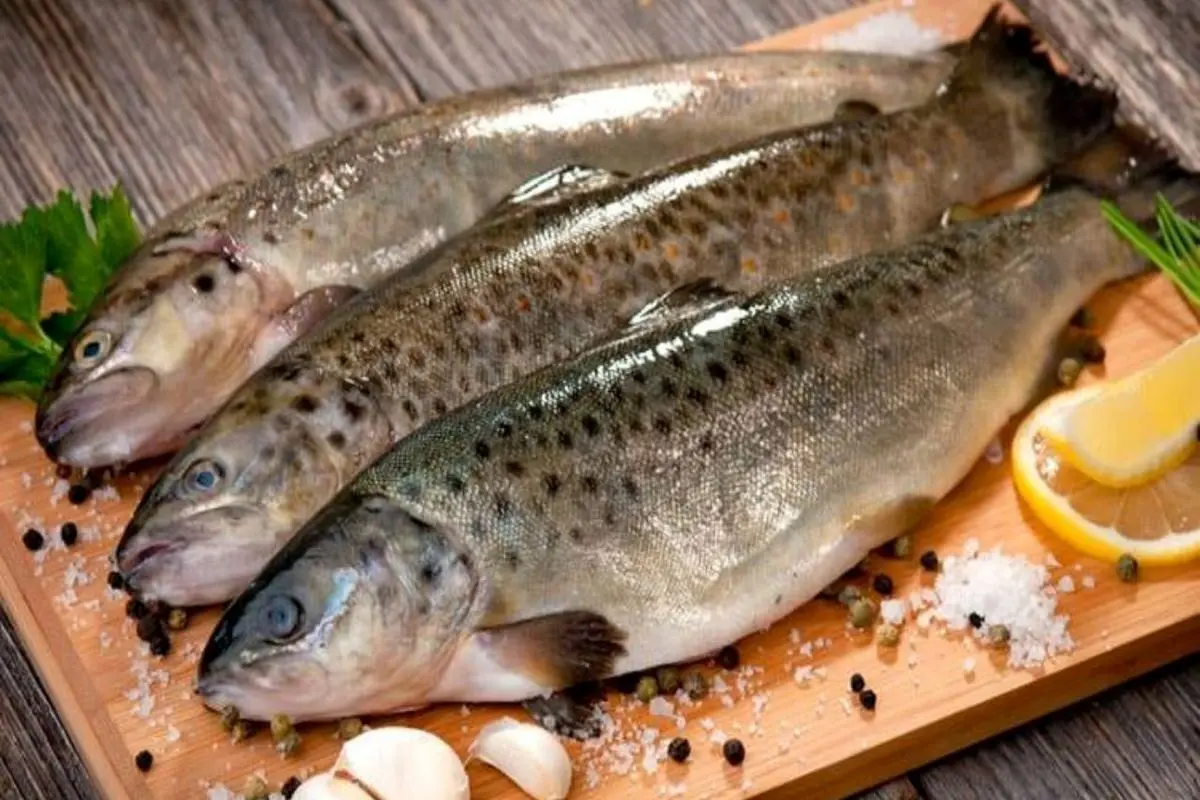 با این مواد غذایی  ساعت خواب را تنظیم کنید