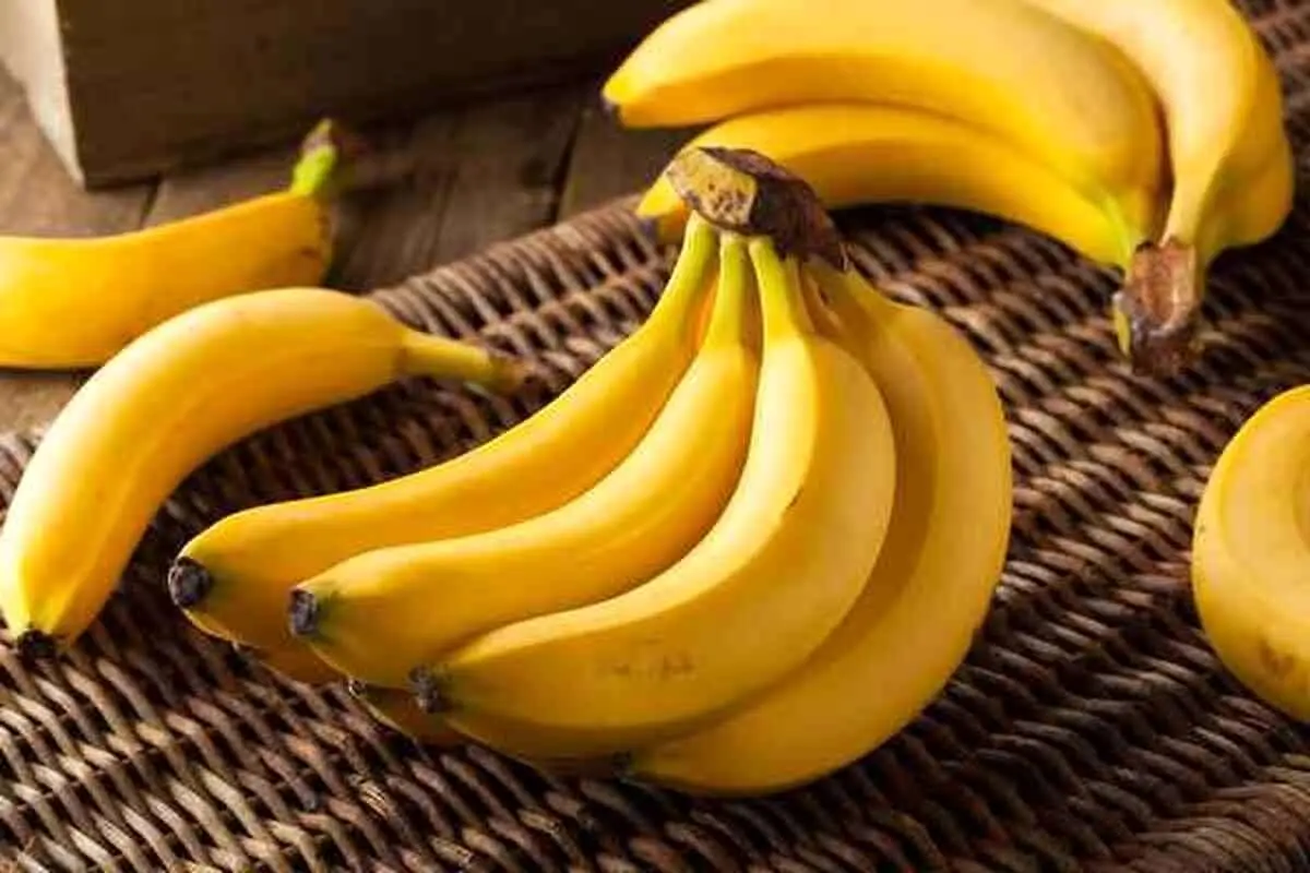 مصرف این مواد غذایی باعث احساس شادی میشود