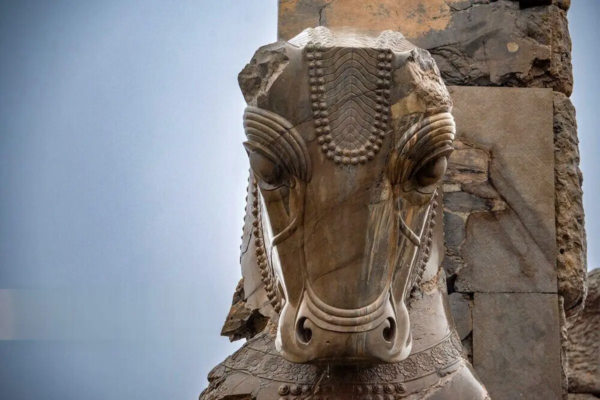 (تصاویر) تخت جمشید در باران