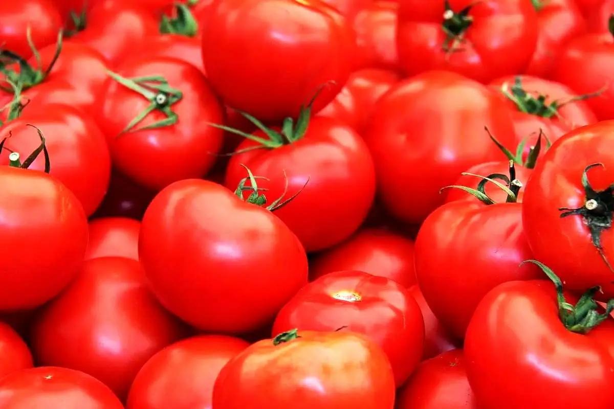 خواص بی‌نظیر آب گوجه فرنگی برای سلامتی
